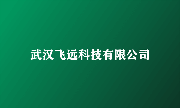 武汉飞远科技有限公司