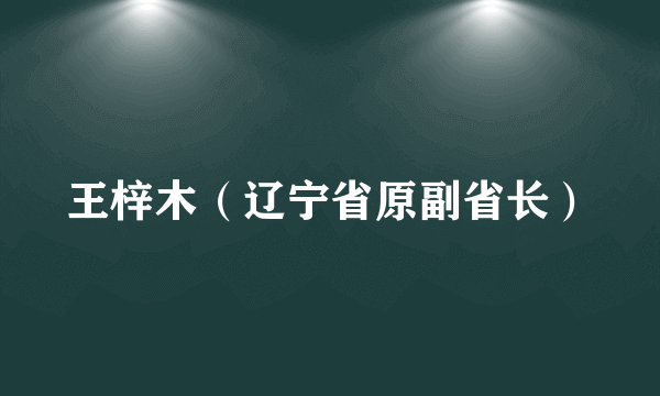 王梓木（辽宁省原副省长）