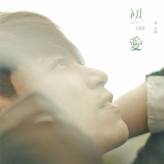 这一路走来（杨宗纬演唱歌曲）