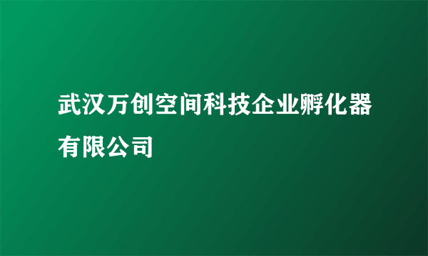 武汉万创空间科技企业孵化器有限公司