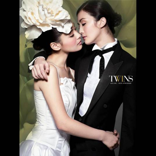 飘零燕（2007年Twins演唱的歌曲）