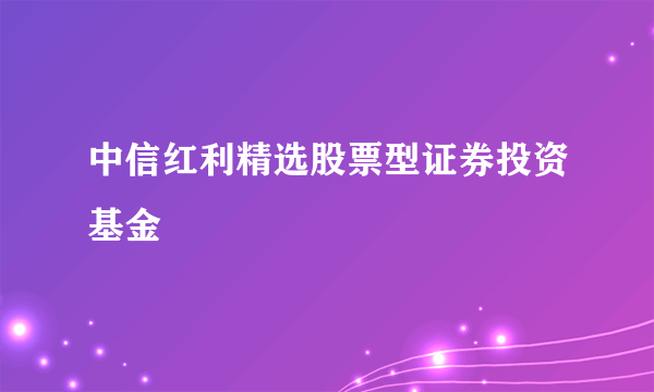 中信红利精选股票型证券投资基金