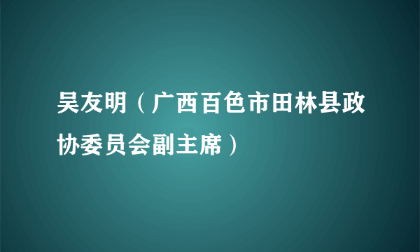 吴友明（广西百色市田林县政协委员会副主席）