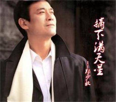 摘下满天星（1993年郑少秋演唱歌曲）