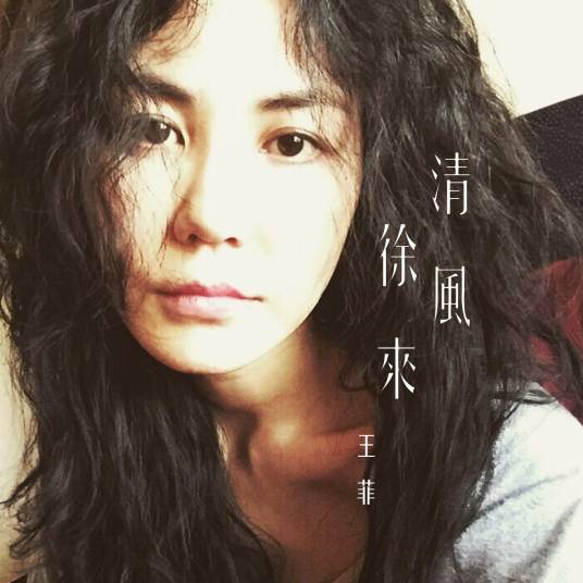 清风徐来（王菲演唱歌曲）
