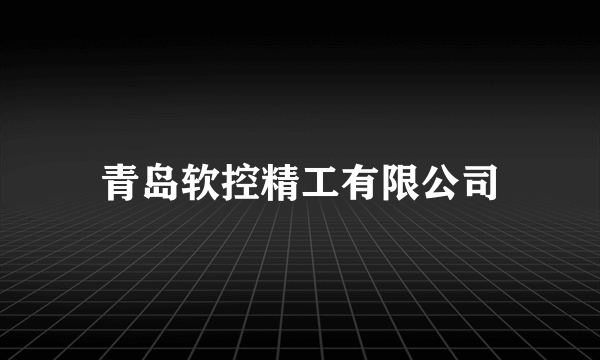 青岛软控精工有限公司