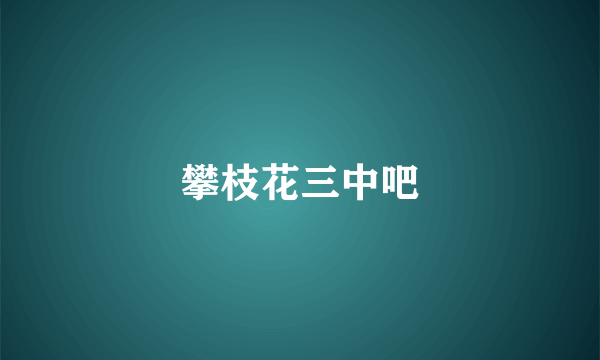 攀枝花三中吧