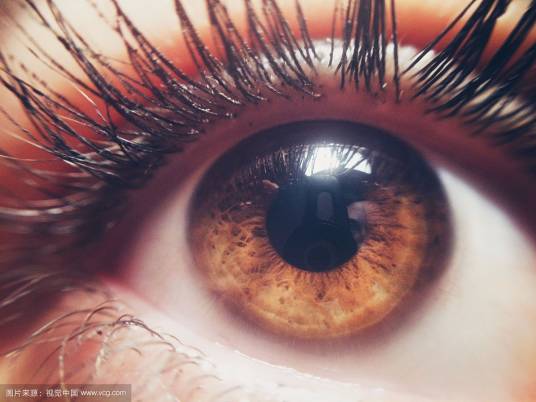 Brown Eyes（美国俚语）