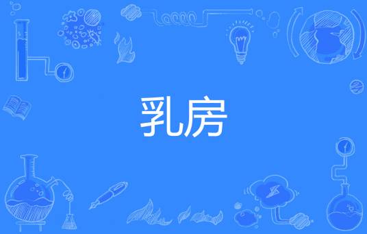 乳房（汉语词语）
