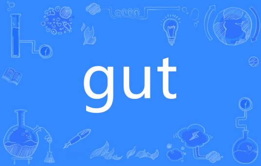 GUT（英语单词）