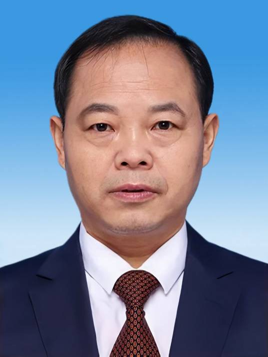 钟涛（重庆市巴南区委副书记，区政府党组书记、区长）