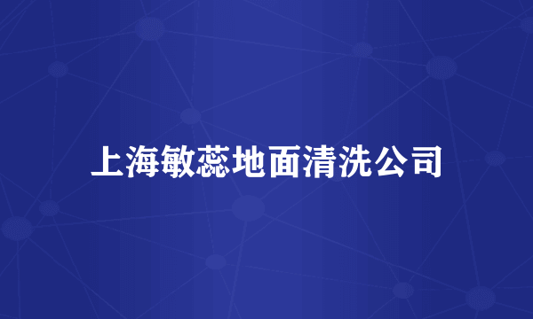 上海敏蕊地面清洗公司