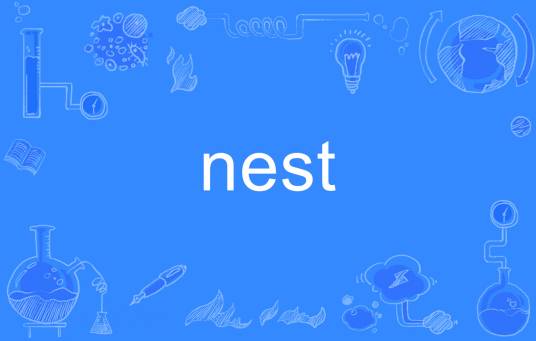 nest（英语单词）
