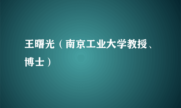 王曙光（南京工业大学教授、博士）
