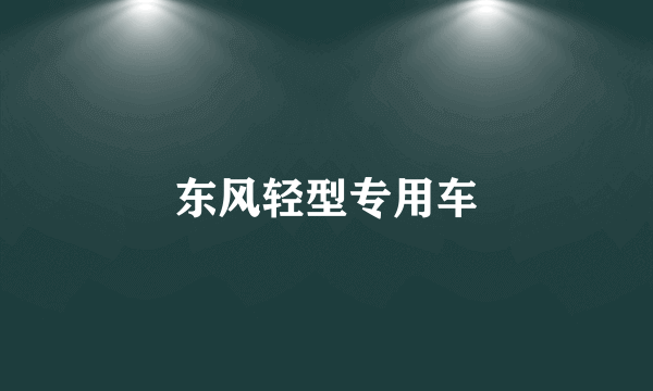 东风轻型专用车