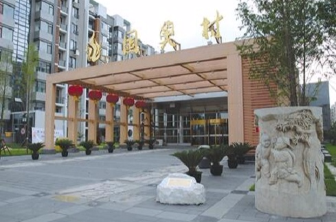 国奥村（北京的房地产项目）