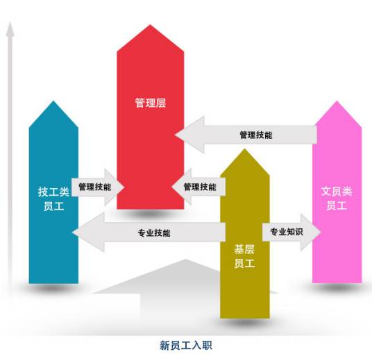 职业路径