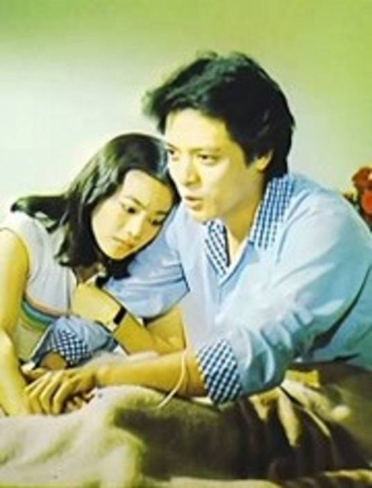 闪亮的日子（刘维斌执导的电影）