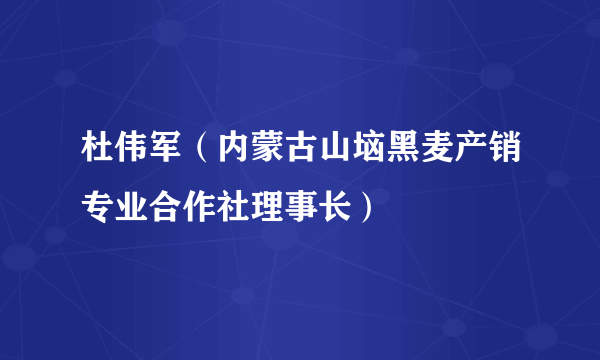 杜伟军（内蒙古山垴黑麦产销专业合作社理事长）