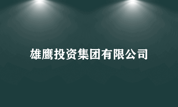 雄鹰投资集团有限公司