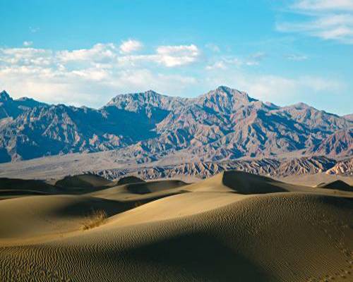 莫哈维沙漠（美国莫哈维沙漠）