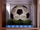 Telstar（西班牙泰事达(Telstar)）