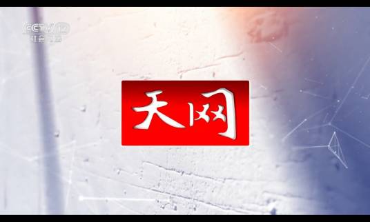 天网（中央广播电视总台央视社会与法频道节目）