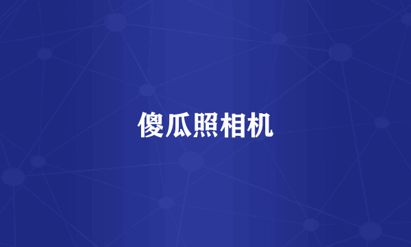 傻瓜照相机
