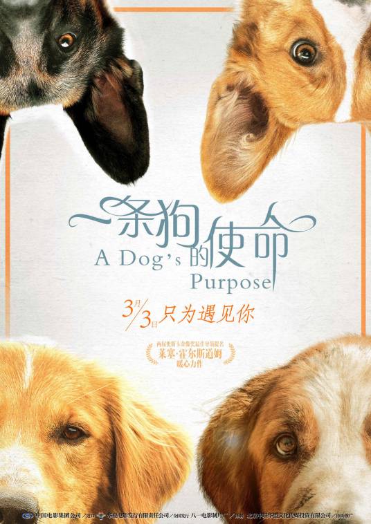 一条狗的使命（美国2017年莱塞·霍尔斯道姆执导的剧情片）