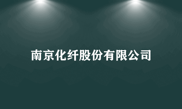 南京化纤股份有限公司