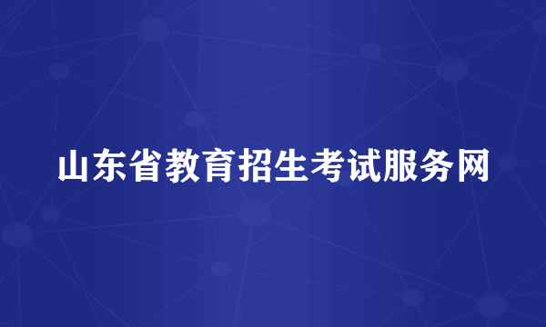 山东省教育招生考试服务网