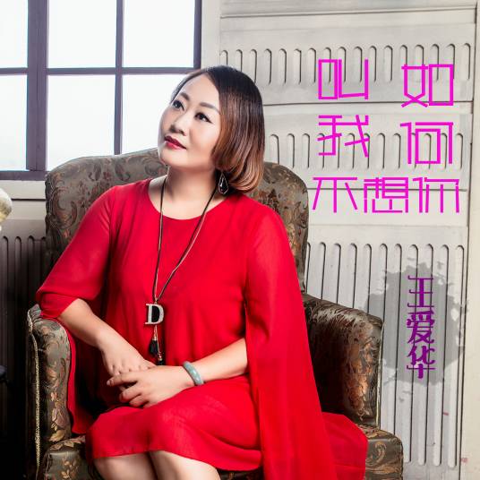 轮回转世（王爱华演唱歌曲）