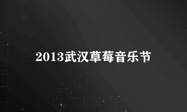 2013武汉草莓音乐节