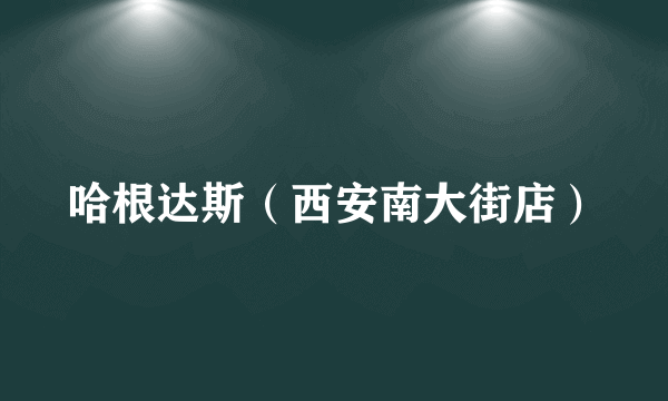 哈根达斯（西安南大街店）