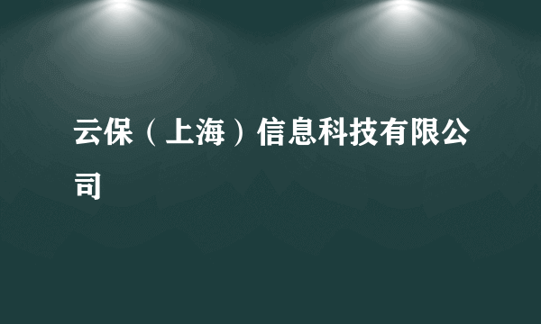 云保（上海）信息科技有限公司