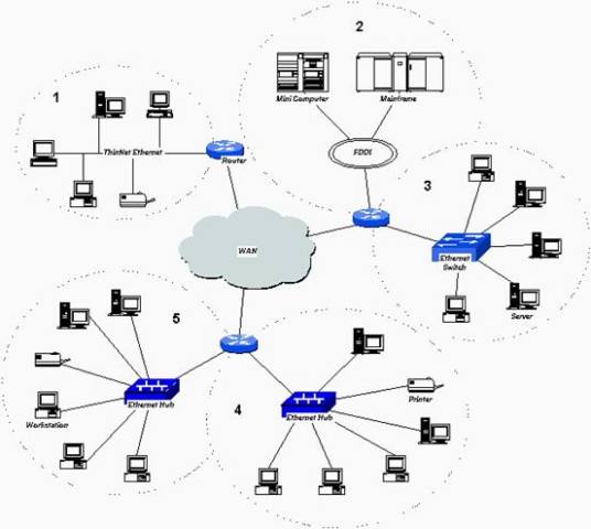 组播扩展OSPF