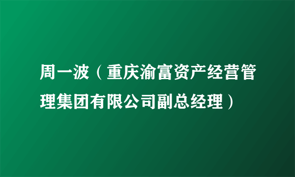 周一波（重庆渝富资产经营管理集团有限公司副总经理）