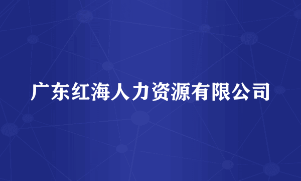 广东红海人力资源有限公司