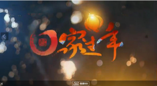 过年回家（谷锦云执导电视剧）