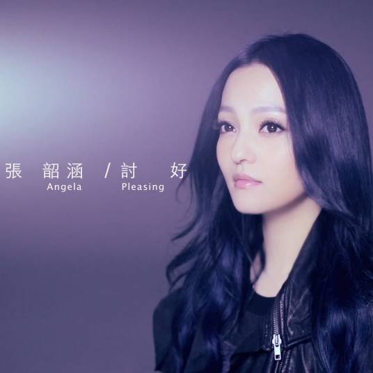 讨好（2014年张韶涵演唱歌曲）