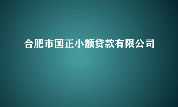 合肥市国正小额贷款有限公司