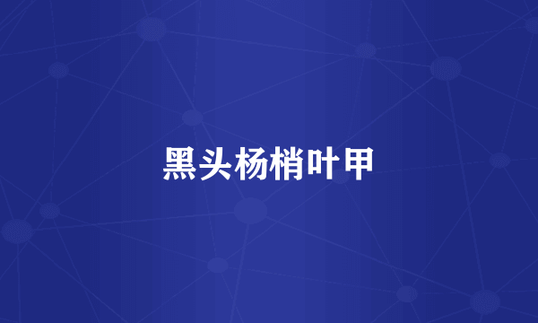 黑头杨梢叶甲