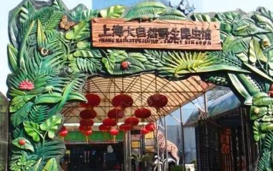 上海大自然野生昆虫馆