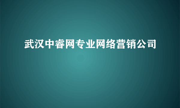 武汉中睿网专业网络营销公司