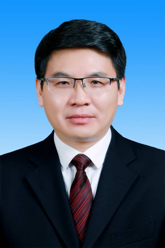 谭庆（重庆市铜梁区委书记）