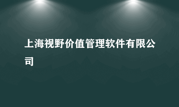 上海视野价值管理软件有限公司