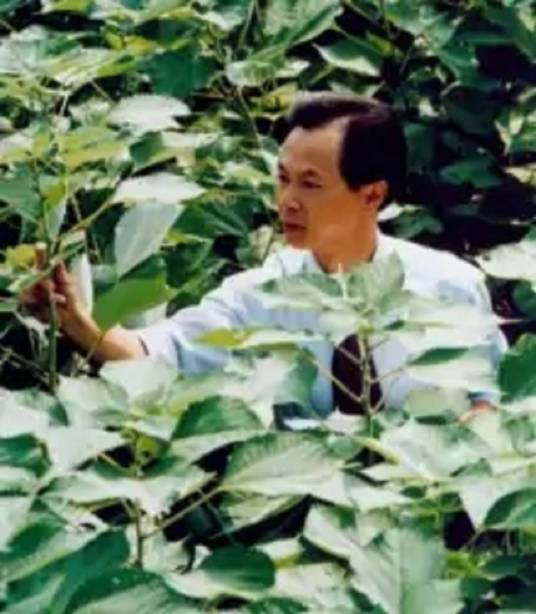 魏刚(四川农业专家)