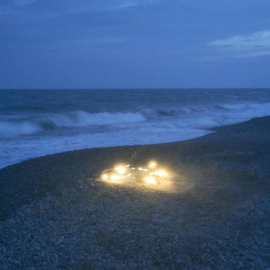 Swallowtail（2018年She Her Her Hers录唱歌曲）