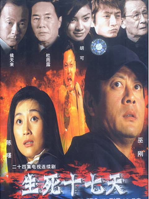 生死十七天（2004年24集电视连续剧）