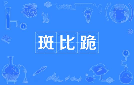 斑比跪
